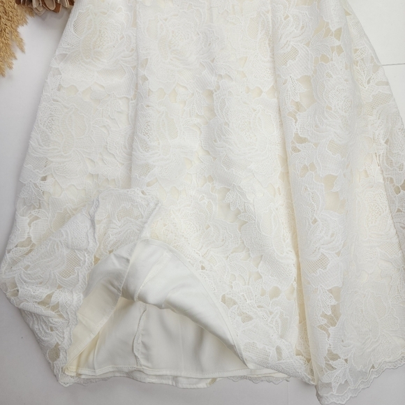 White House Black Market White Floral Lace Eyelet Embroidered Dress Sz 8 - Picture 13 of 16